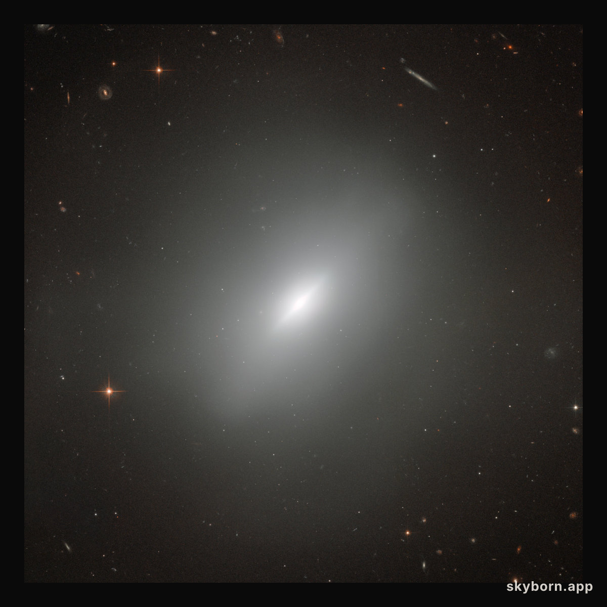 A young elliptical