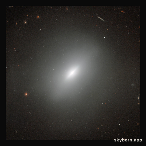 A young elliptical