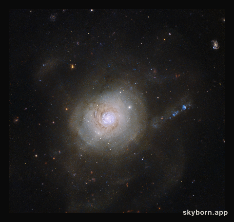 Galactic politics