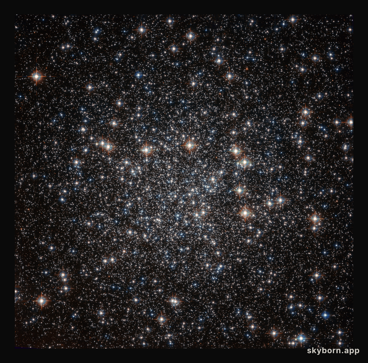 A sky full of stars