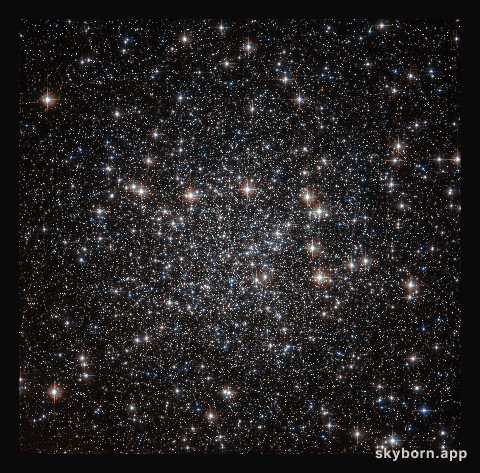 A sky full of stars
