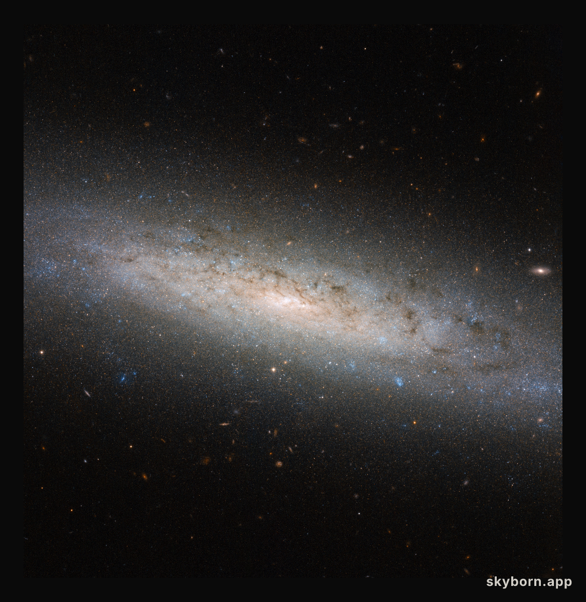 The hidden dark side of NGC 24