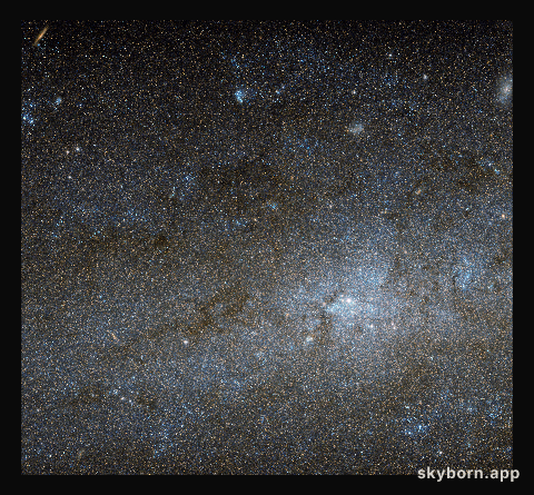 The centre of NGC 247