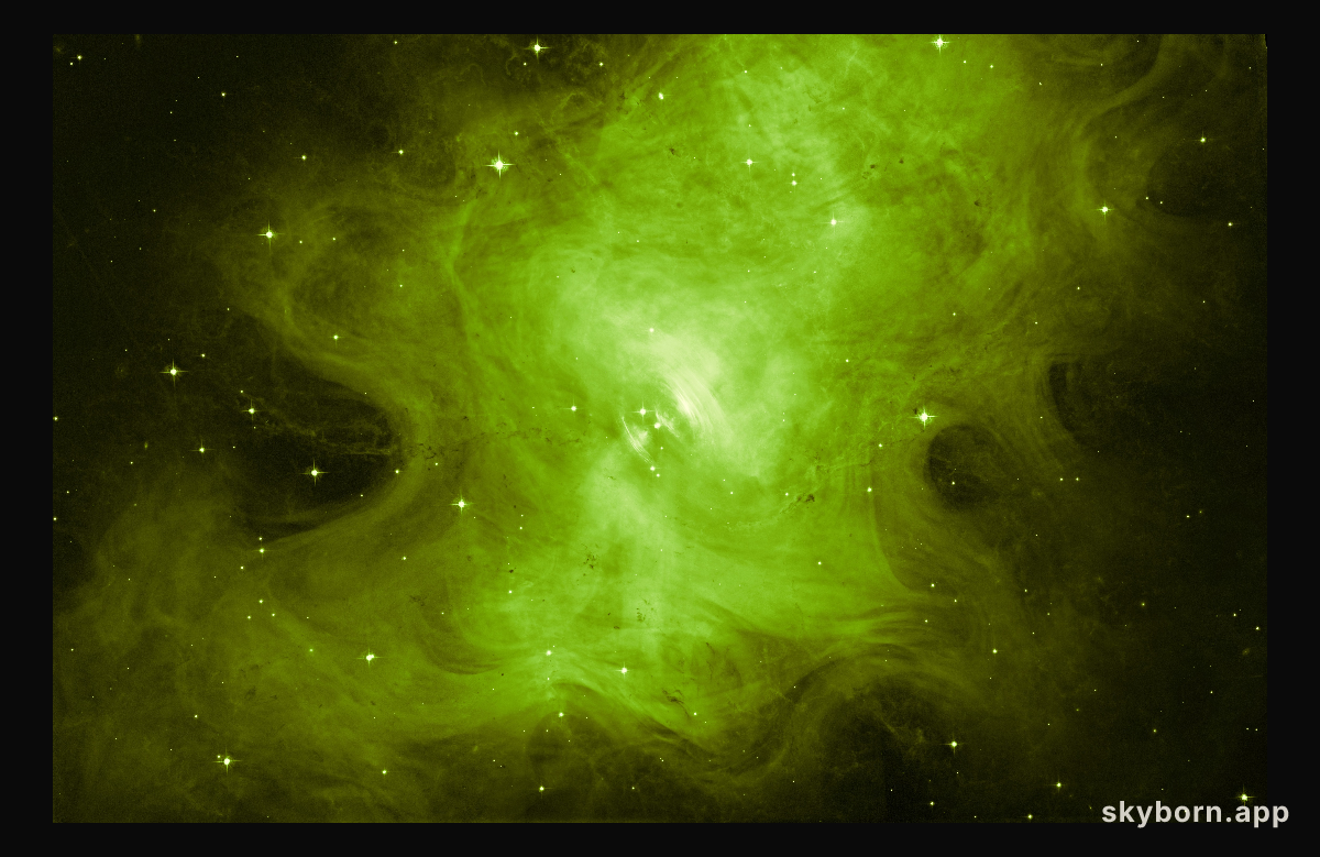 A whole new view of the Crab Nebula