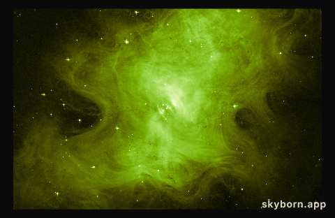 A whole new view of the Crab Nebula