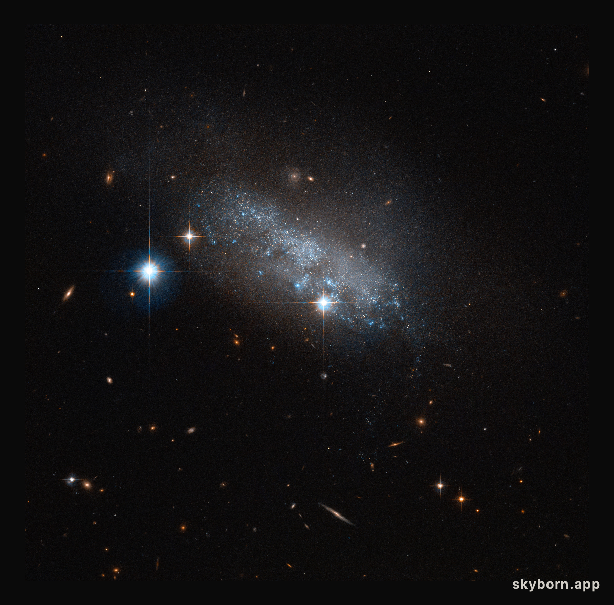 Spotlight on IC 3583