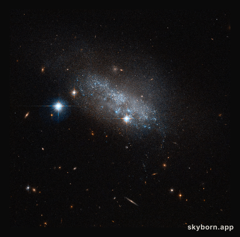 Spotlight on IC 3583