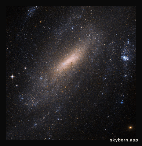 A closer look at IC 5201