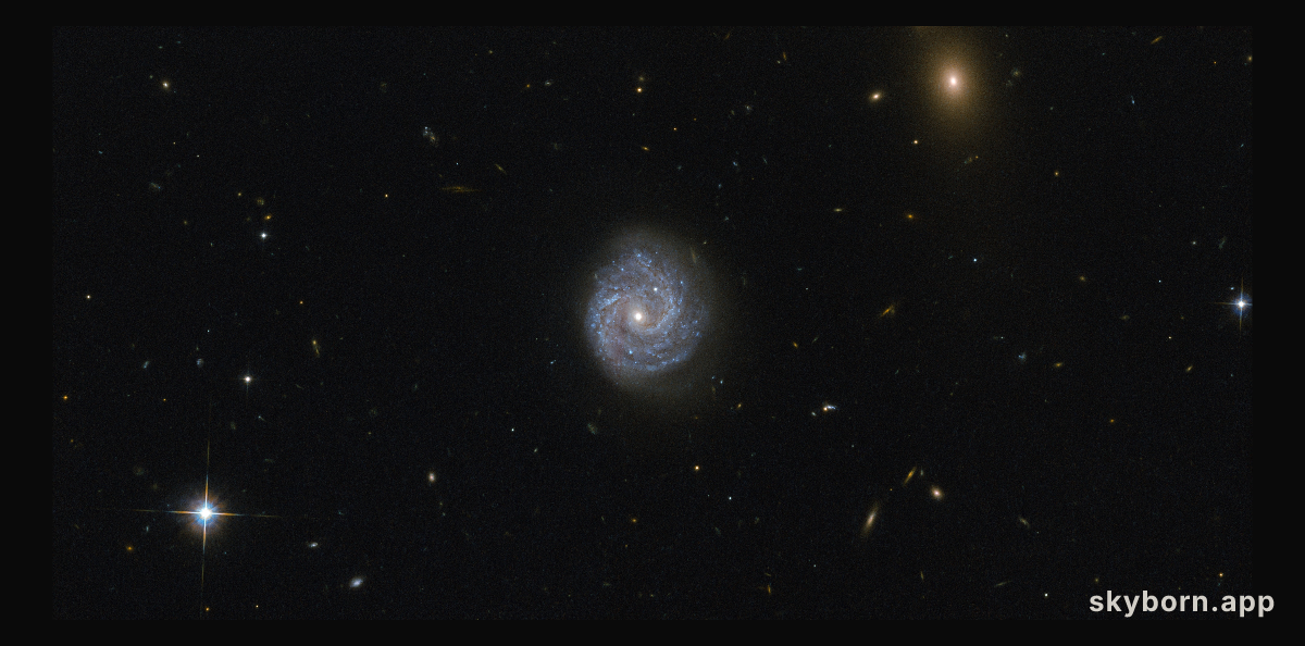 A black hole of puzzling lightness