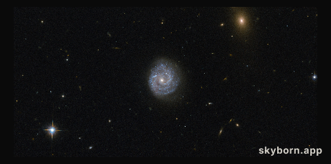 A black hole of puzzling lightness
