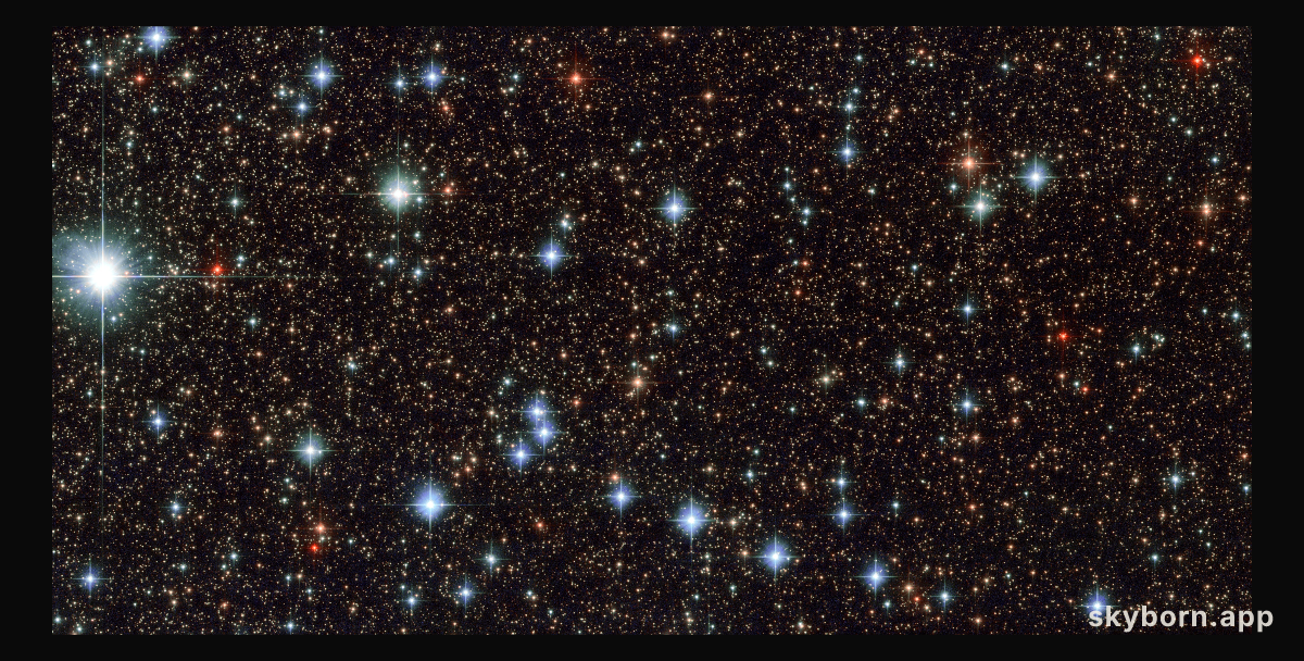 A slice of Sagittarius