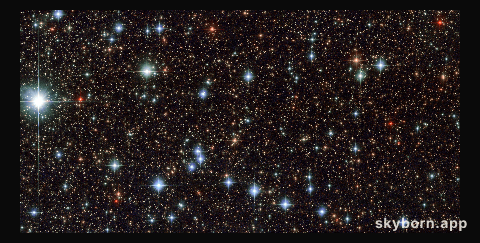 A slice of Sagittarius
