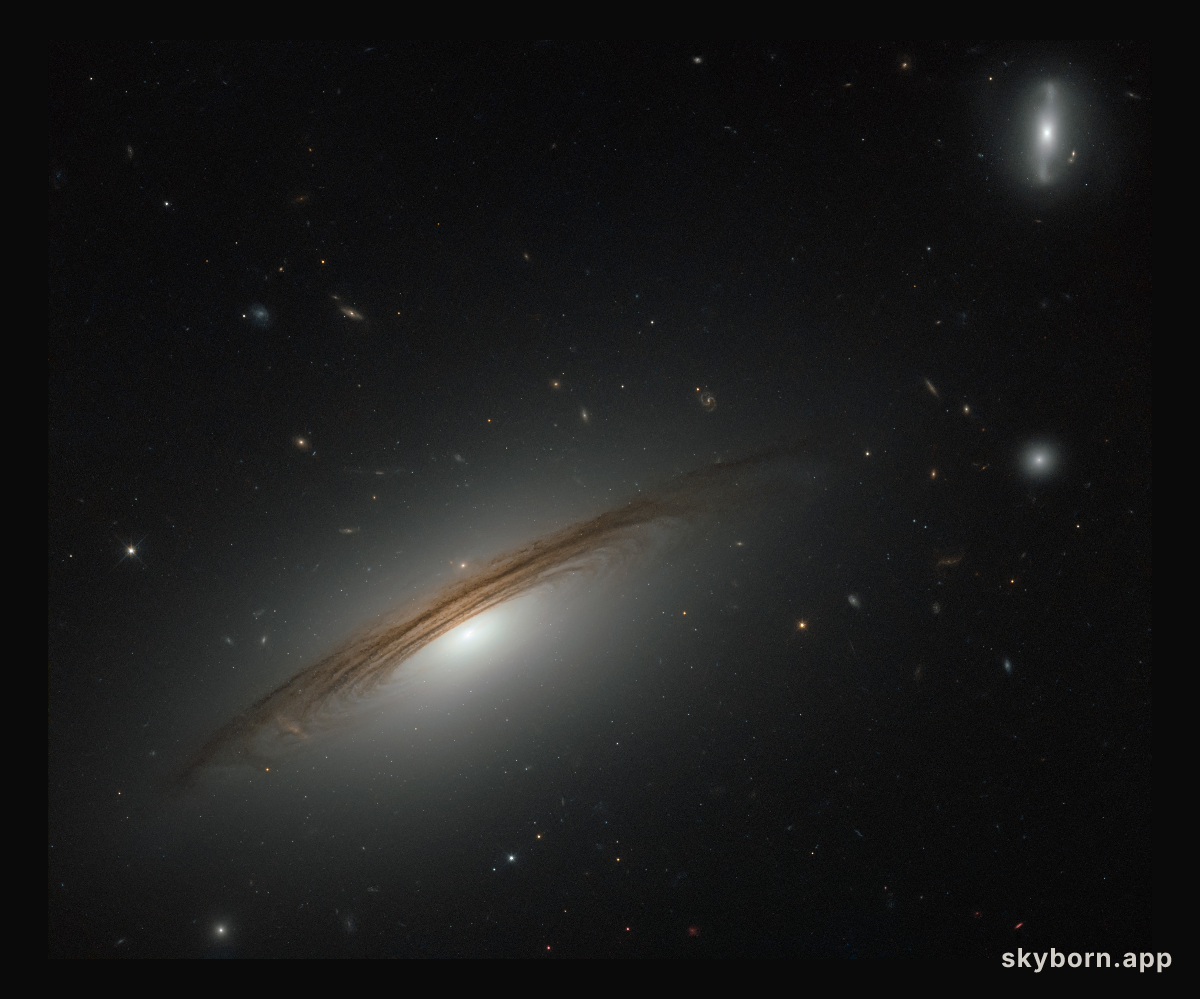 A remarkable galactic hybrid