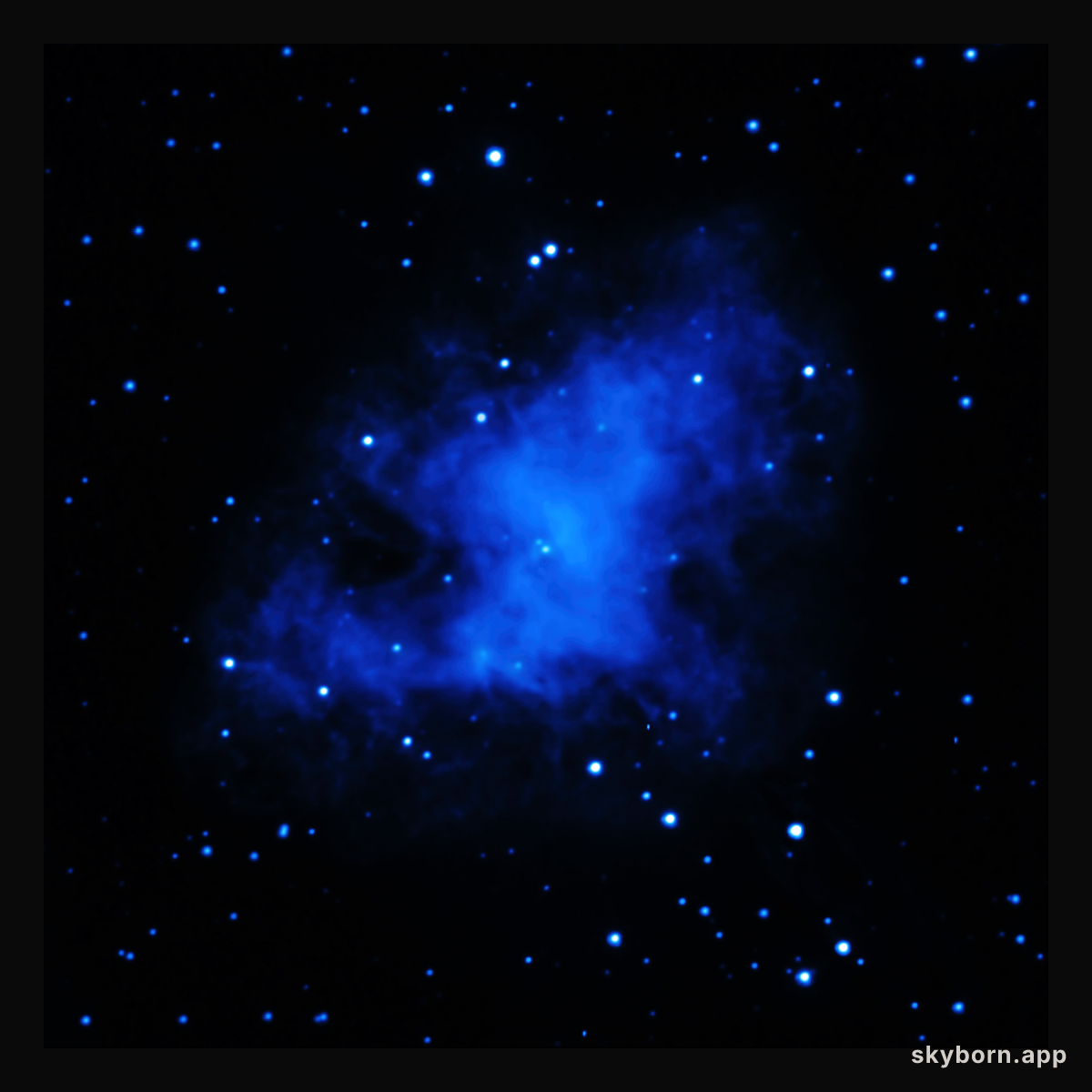 XMM-Newton (ultraviolet) Image of the Crab Nebula