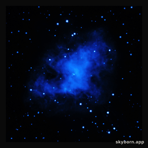 XMM-Newton (ultraviolet) Image of the Crab Nebula