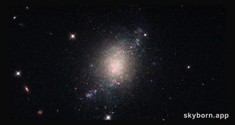Surveying the cosmos