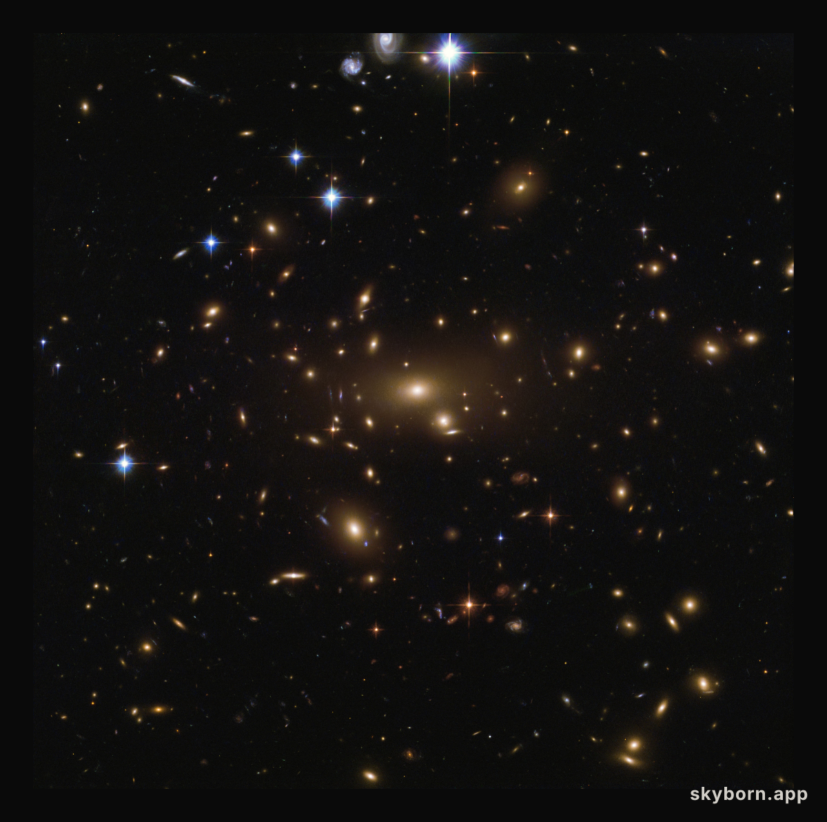 Abell’s richest cluster
