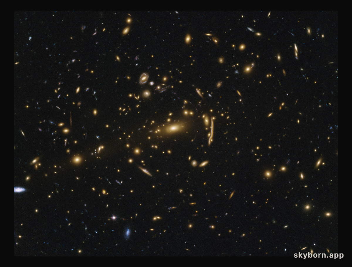 Galaxy cluster MACSJ1206