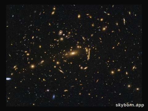 Galaxy cluster MACSJ1206
