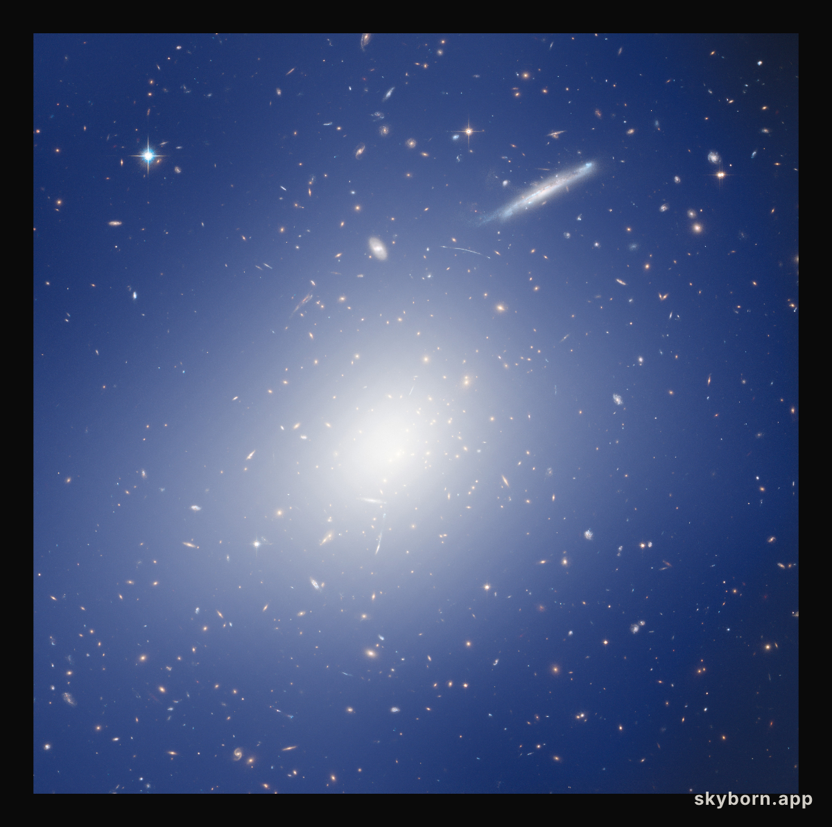 Hubble and HAWK-I explore a cluster with the mass of two quadrillion Suns