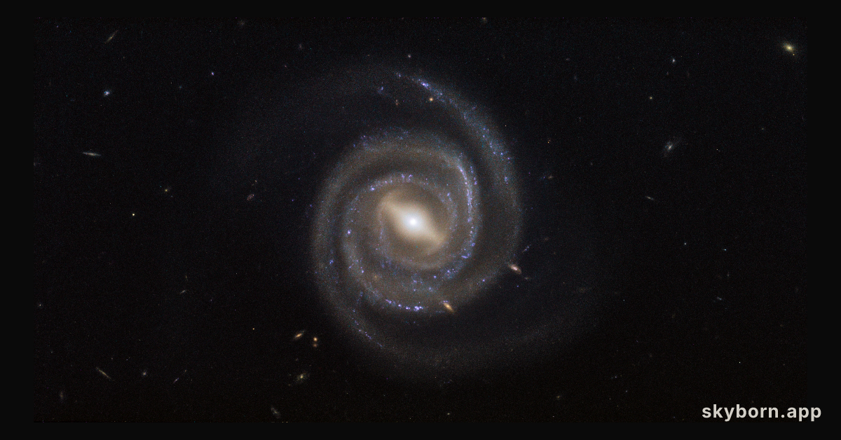 Lasers and supermassive black holes