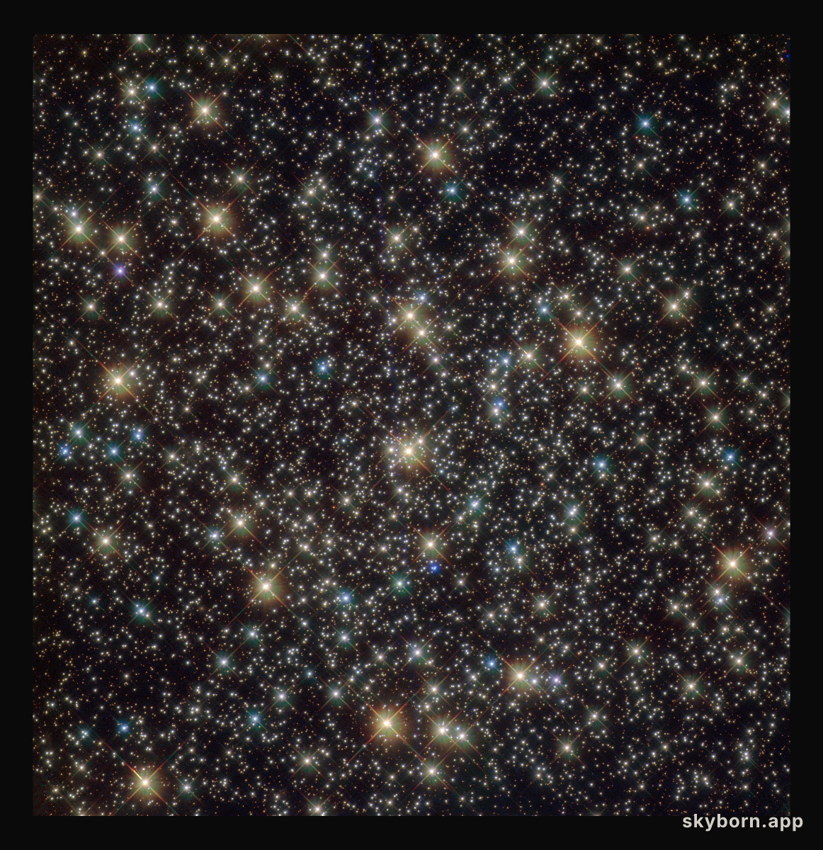 Standout stars