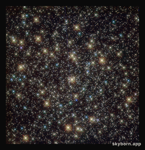 Standout stars