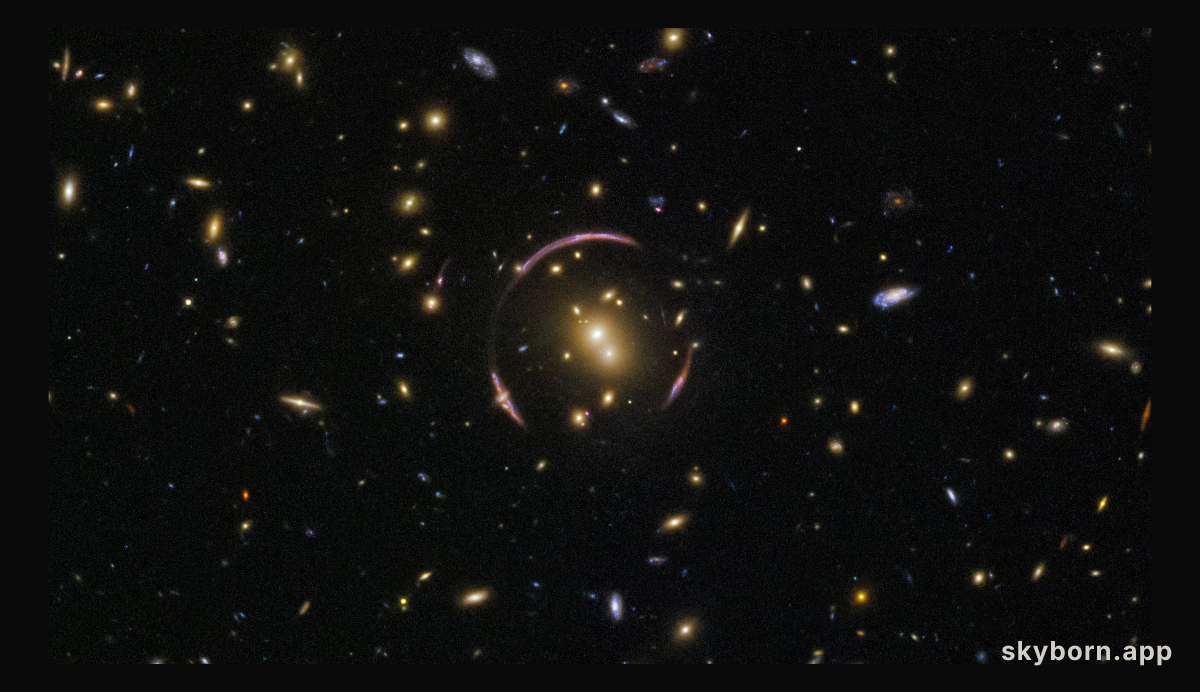 Cosmic cloning
