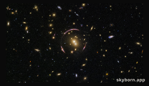 Cosmic cloning
