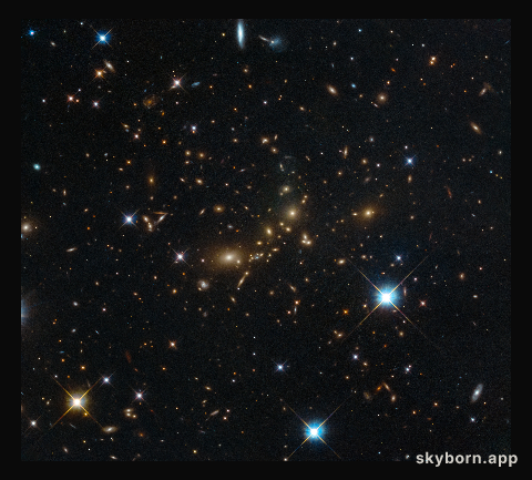 A colossal cluster