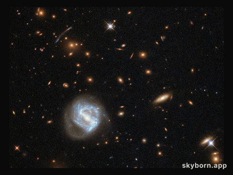 Between Local and Laniakea