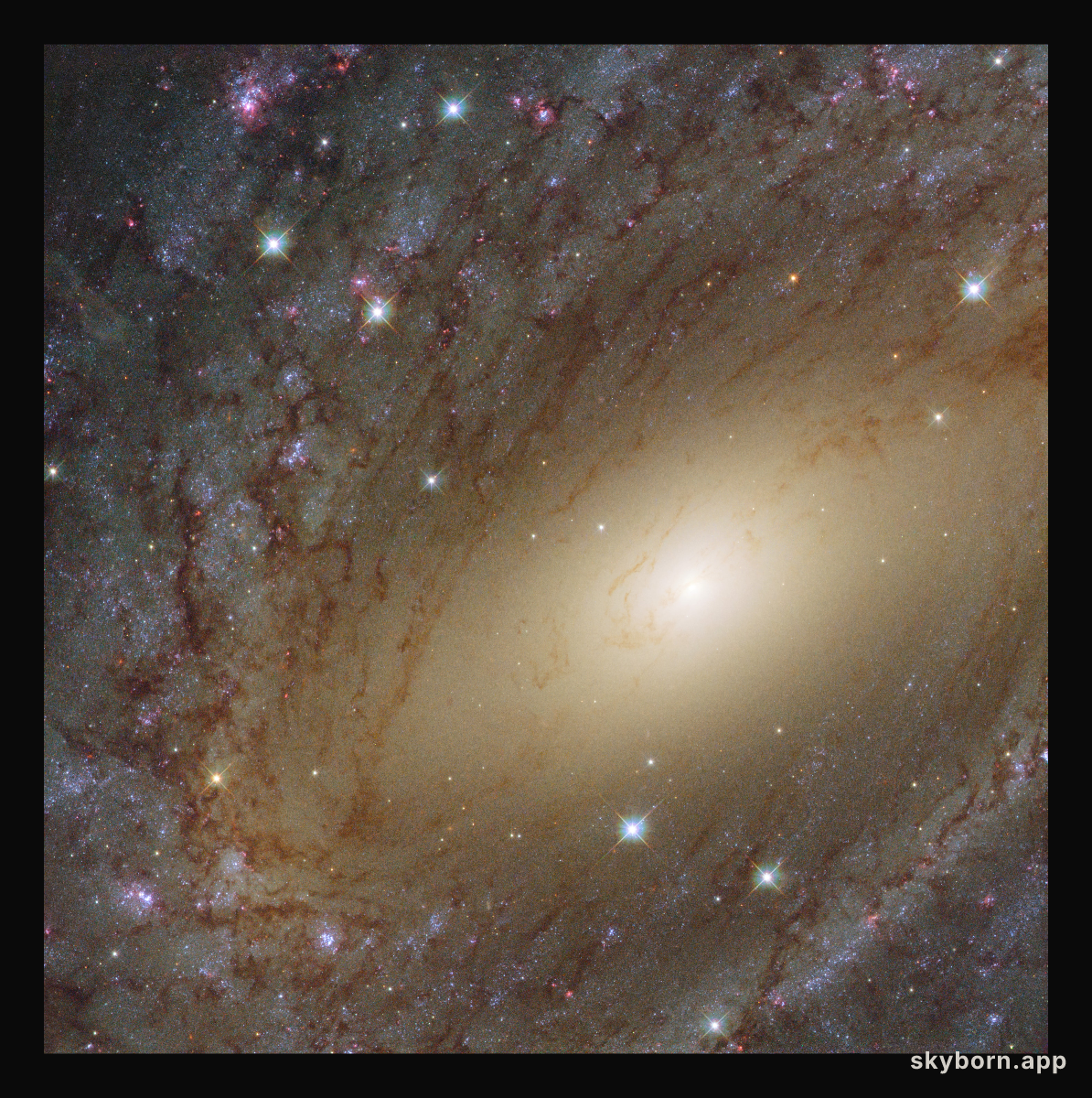 The Milky Way’s big sister