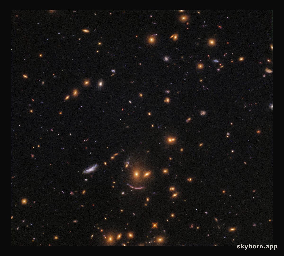 On the hunt for newborn stars