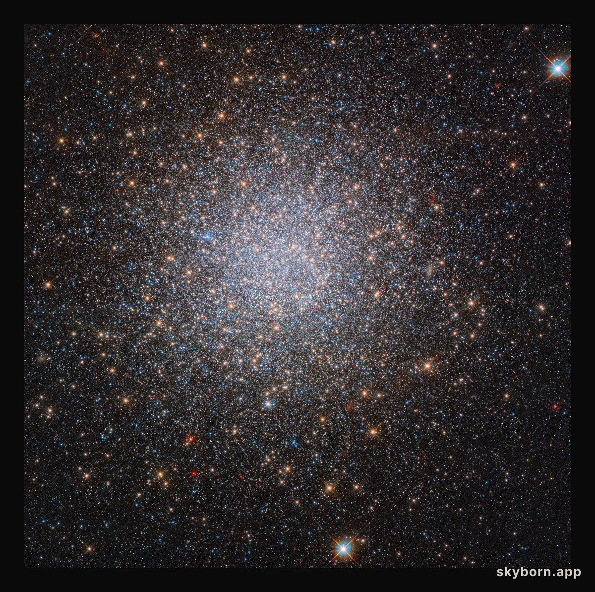 The two mysterious populations of NGC 2419