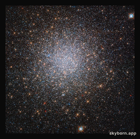 The two mysterious populations of NGC 2419