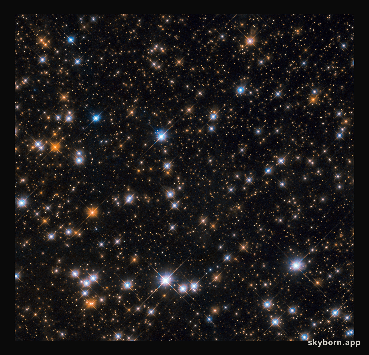 Wild cosmic ducks