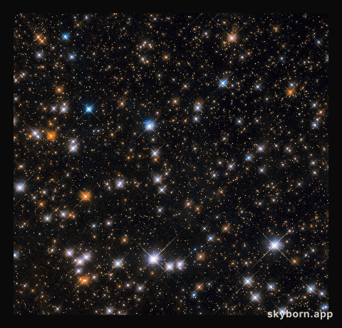 Wild cosmic ducks