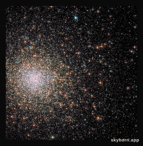 Comet or cluster?