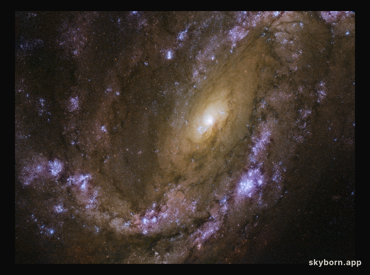 An explosive galaxy