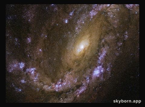 An explosive galaxy