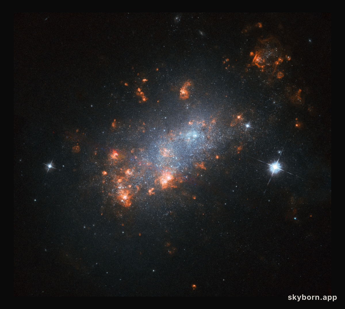 Galactic Cherry Blossom