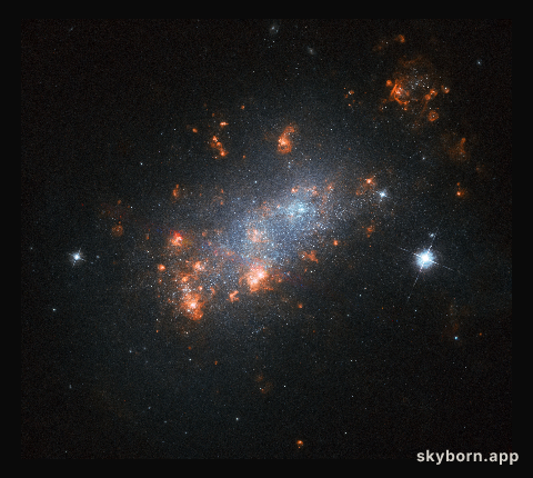 Galactic Cherry Blossom