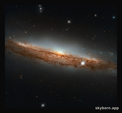 A Spiral in Profile