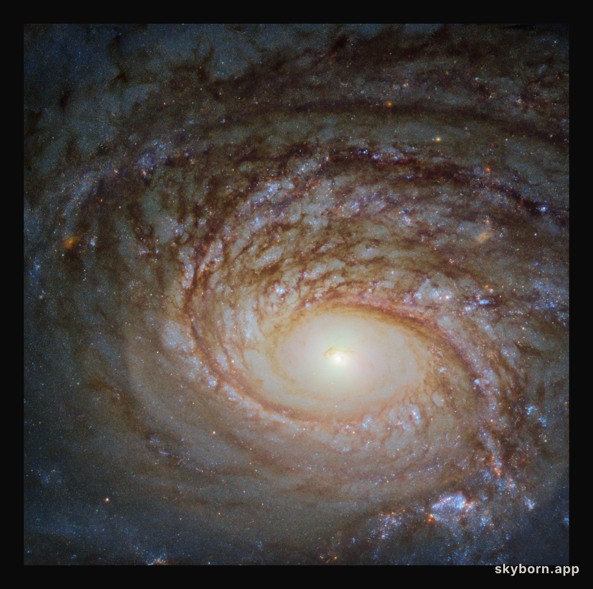A Rival to the Milky Way