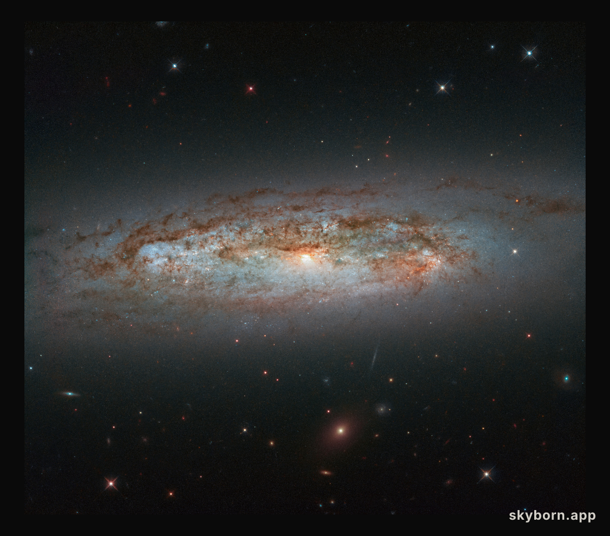 Galactic Diversity