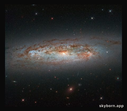 Galactic Diversity