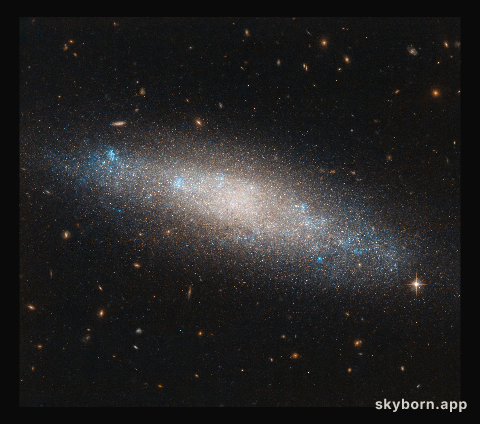 Placed Among the Stars