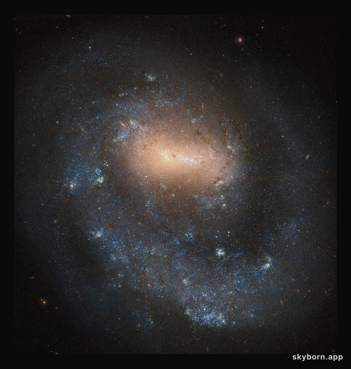 Single Arm Galaxy