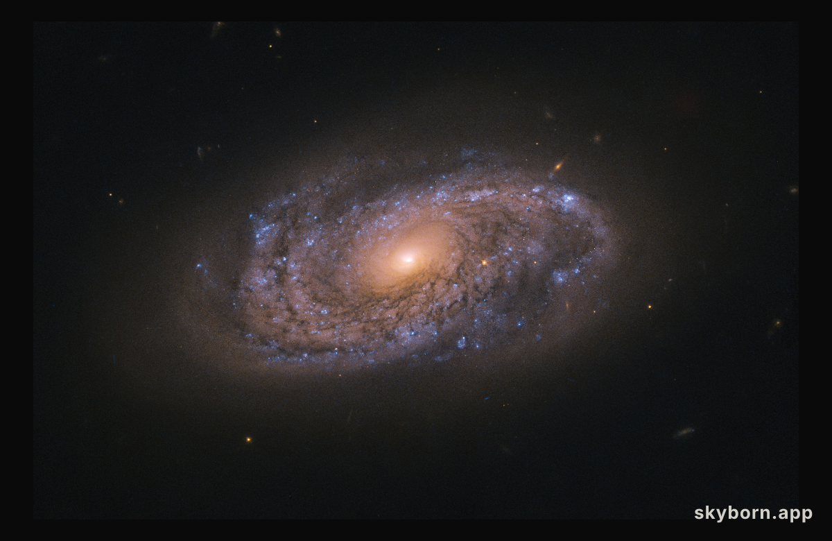Hunting for Dead Stars