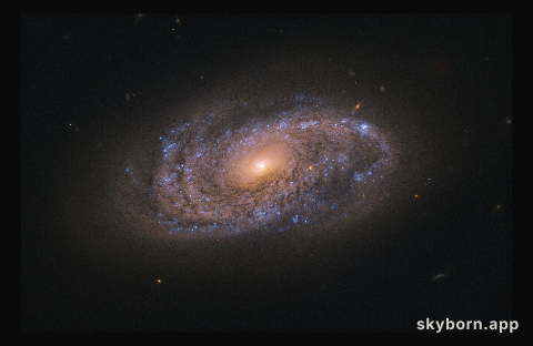 Hunting for Dead Stars